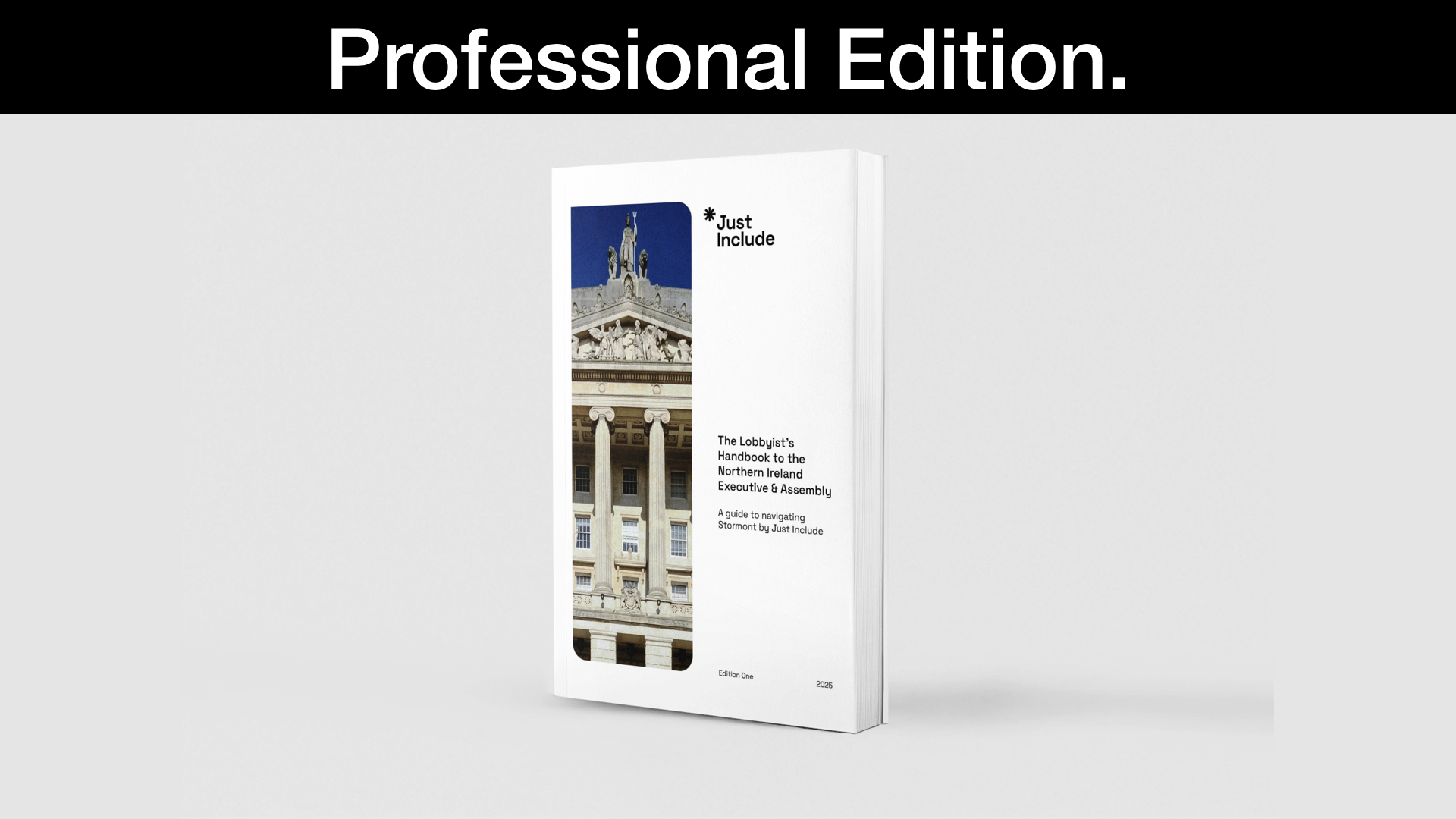 Image of handbook with professional edition written in white on black background